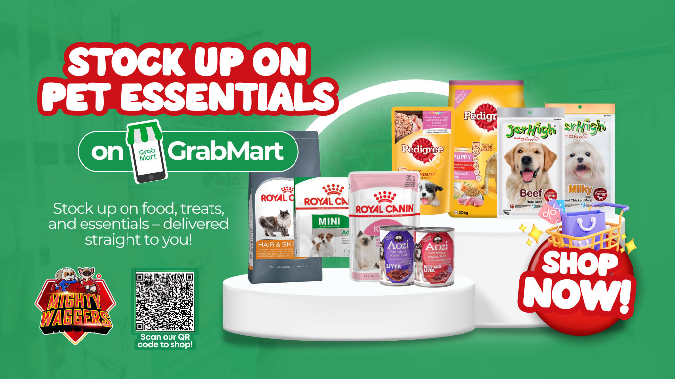 Mighty Waggers Pet Essentials Pet Supplies Grab Mart