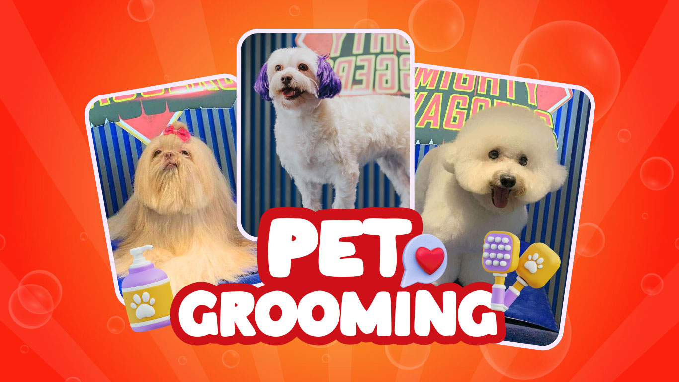 Mighty Waggers Pet Grooming