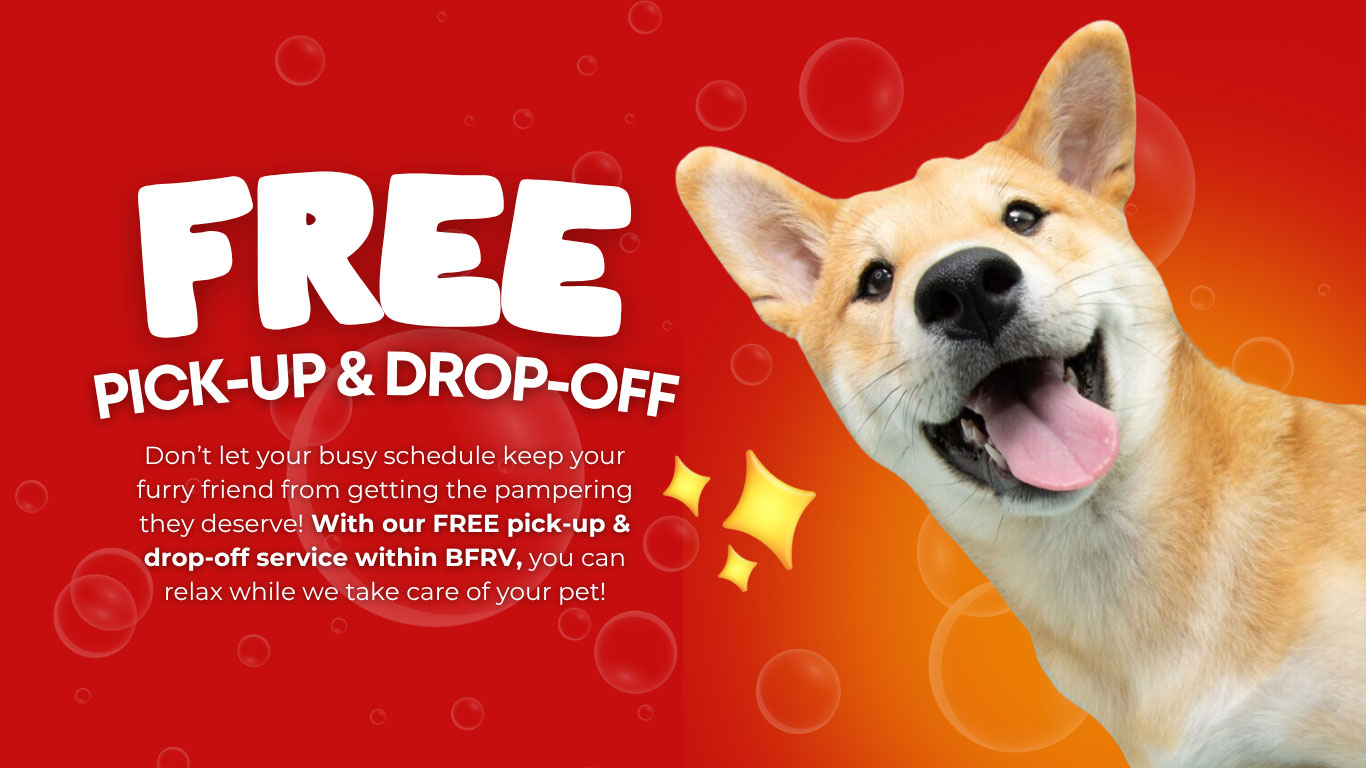 Mighty Waggers Pet Grooming Pick Up and Drop Off