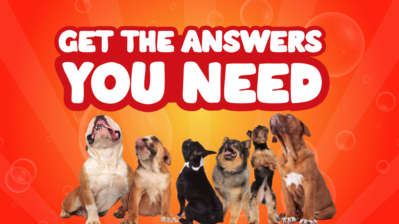 FAQ Get the answers you need Mighty Waggers