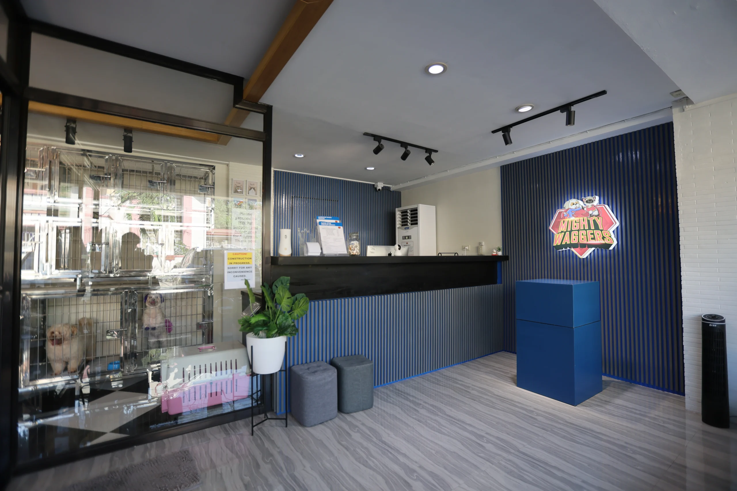 Mighty Waggers reception desk and pet care facility interior with dog kennels, representing a trusted grooming and boarding space.
