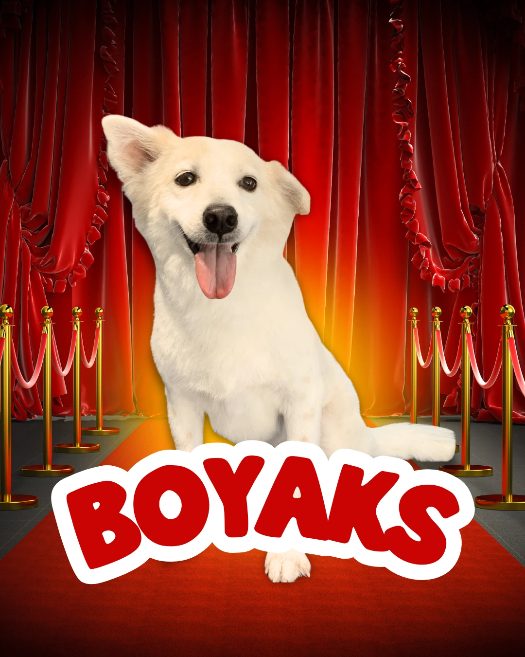 Boyaks - A dog scholar from Mighty Waggers
