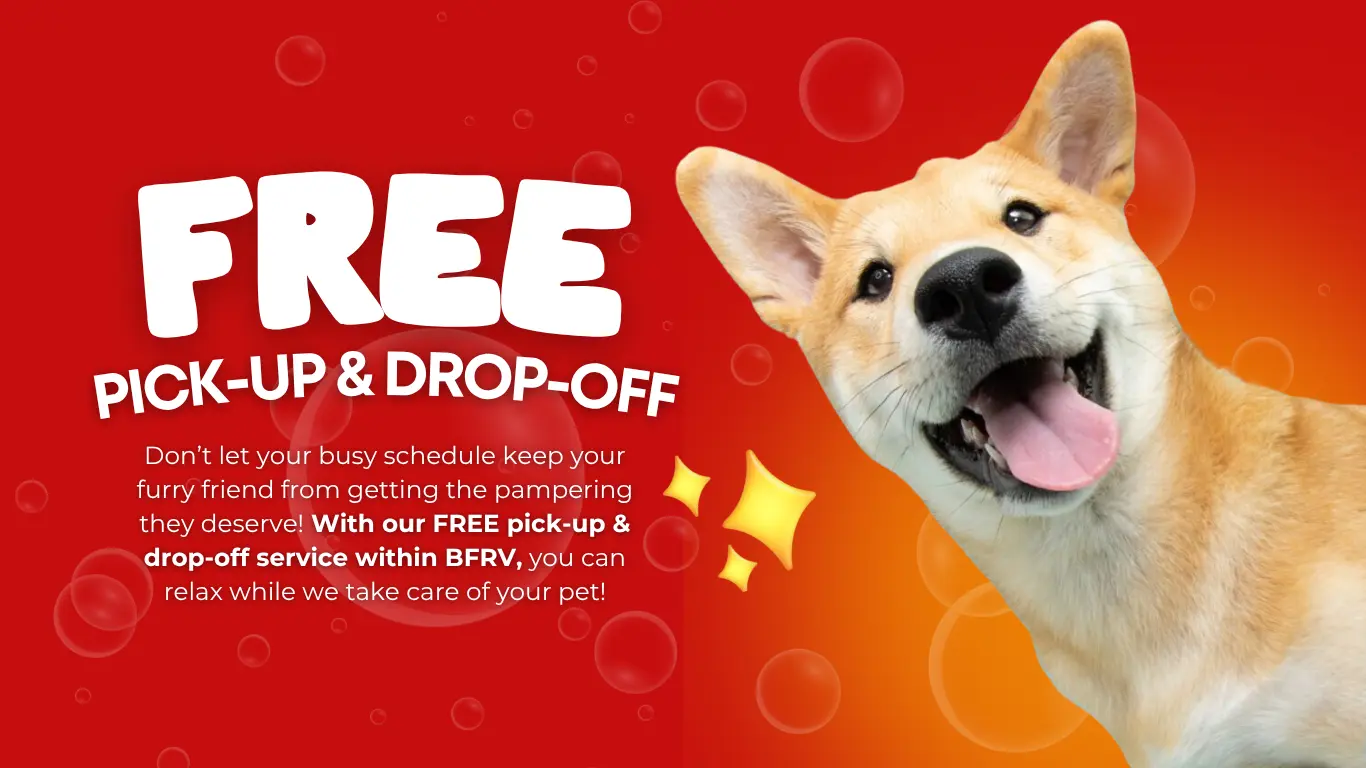 Mighty Free Pickup and Drop Off Pubmat