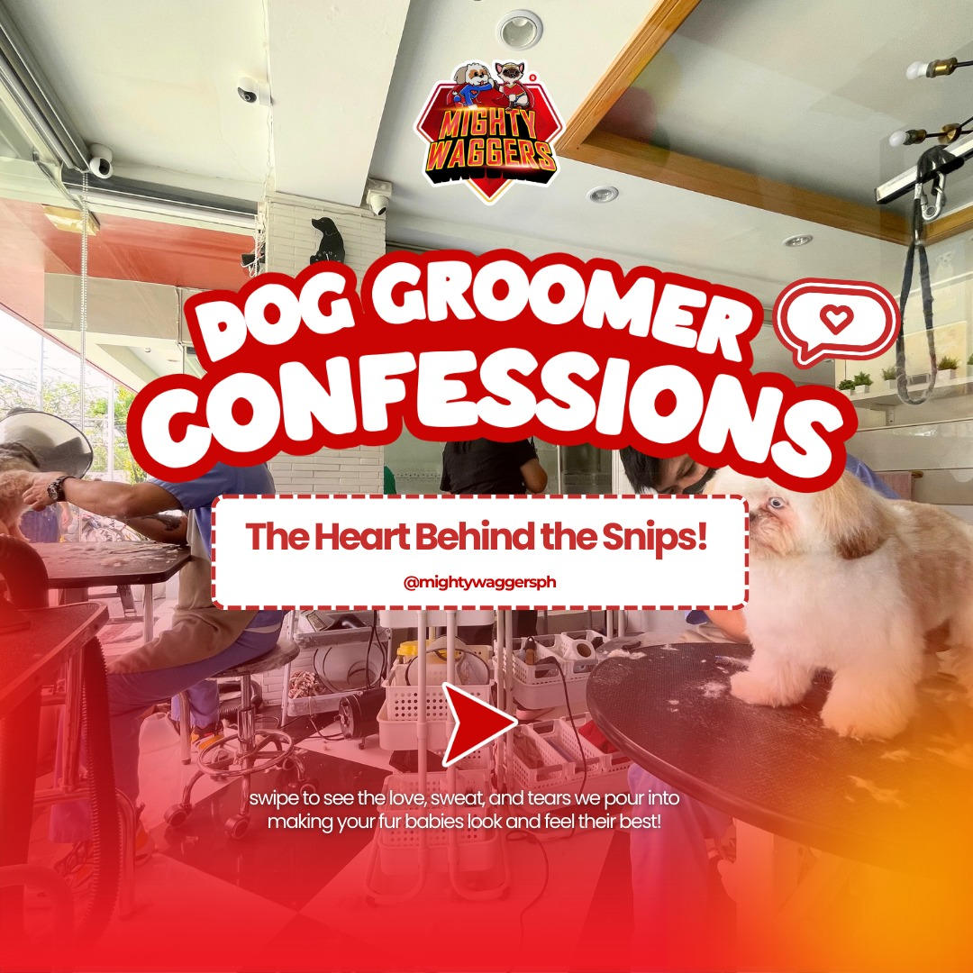 Mighty Waggers groomer with a Shih Tzu on a grooming table, promoting a 'Dog Groomer Confessions' series that focuses on the love and effort behind the snips.