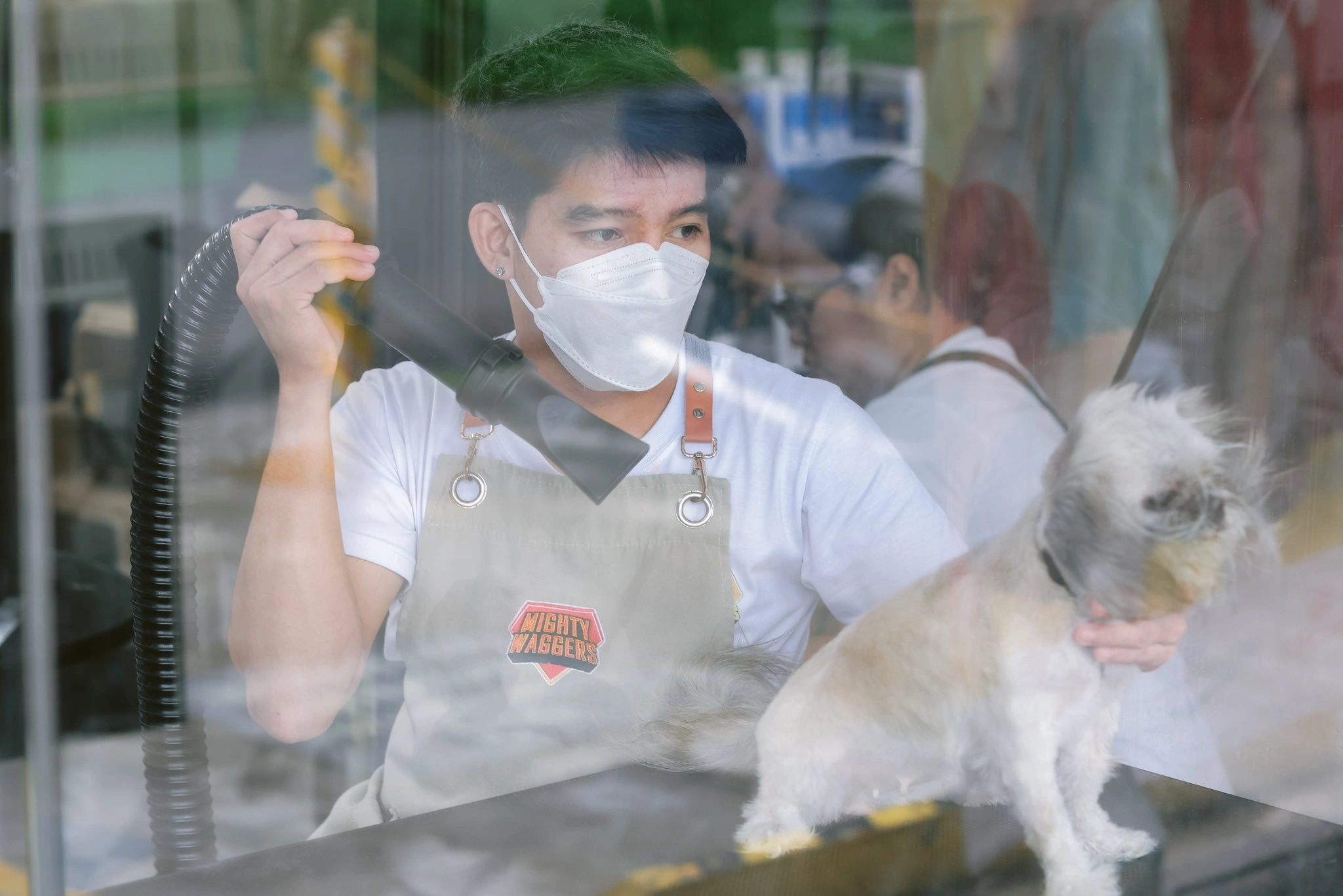 A male groomer with blue-dyed hair, wearing a white shirt, mask, and apron with the Mighty Waggers logo, uses a hose to dry a small, scruffy white dog on a table behind a glass window.