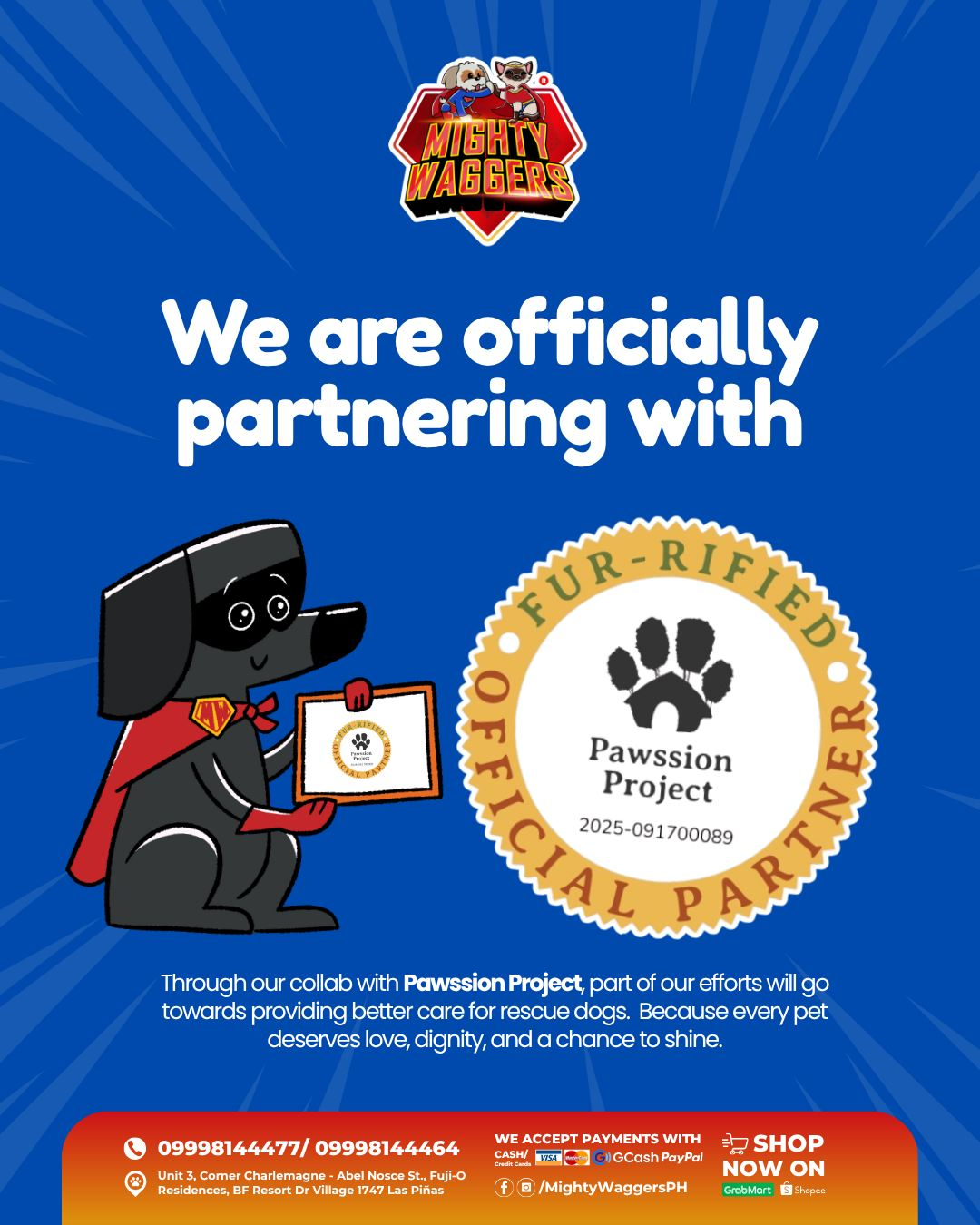 Mighty Waggers announces official partnership with Pawssion Project to provide care for rescue dogs and give them a chance to shine.