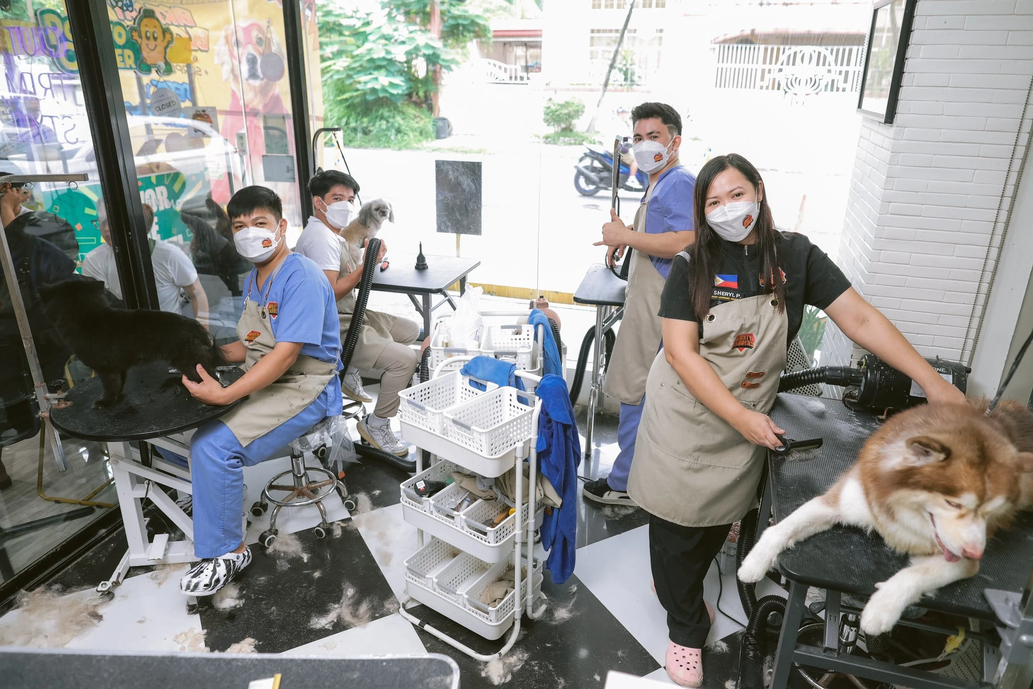 Mighty Waggers professional pet groomers providing full grooming service to dogs during the Birthday Blowout event.