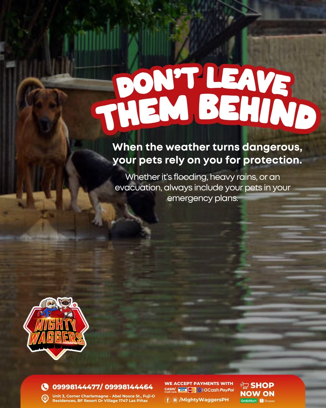 Dogs standing in floodwater with the warning "Don't Leave Them Behind." Essential guide for pet emergency preparedness and safety during floods.