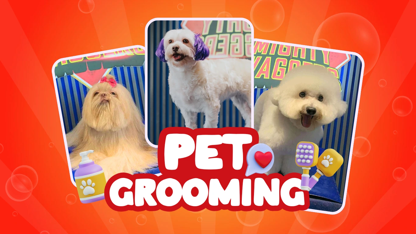 Pet grooming service card design with dogs