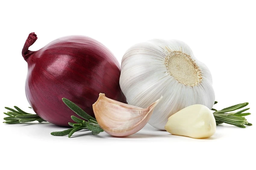 A composition of kitchen staples: a red onion bulb, a white garlic bulb, a loose clove of garlic, and sprigs of fresh rosemary.