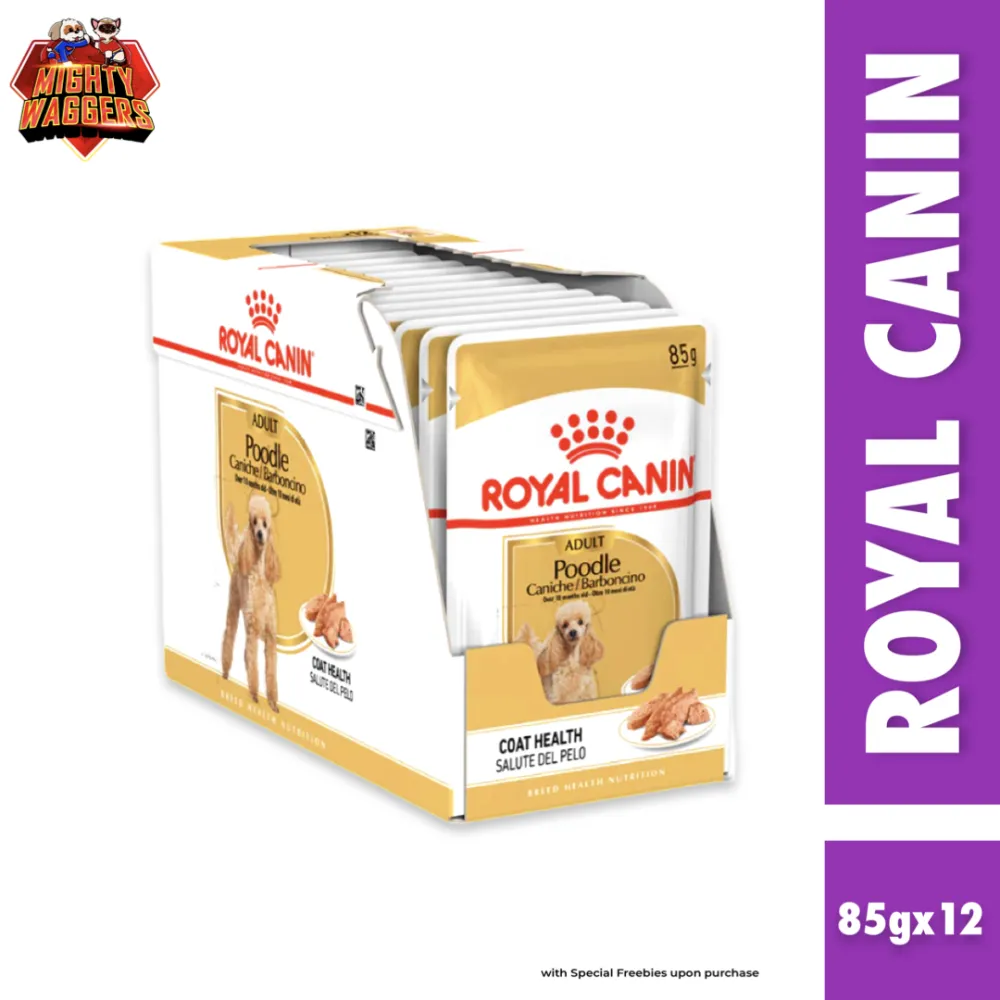 Royal Canin Adult Poodle Wet Dog Food 85g x 12 pouches