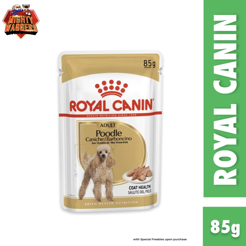 Royal Canin Adult Poodle Wet Dog Food 85g pouch