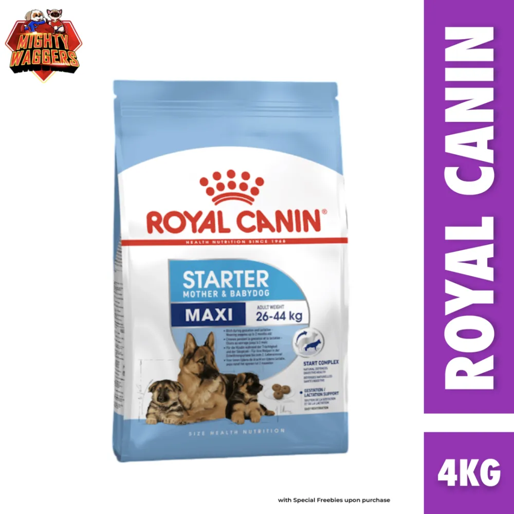 Royal Canin Maxi Starter Mother & Babydog 4kg dry dog food bag