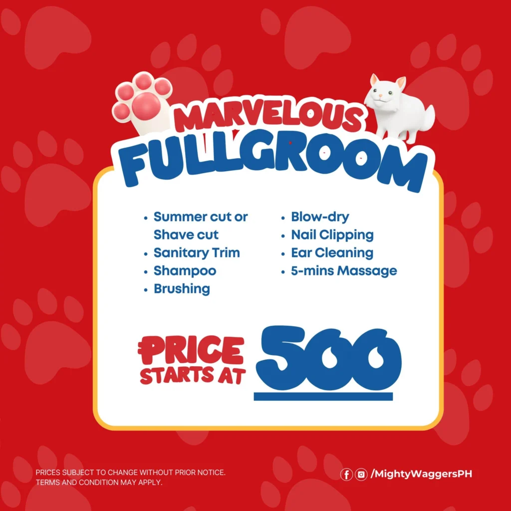 Full grooming service package card at Mighty Waggers