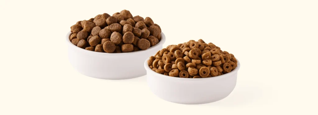 Two white ceramic bowls filled with different types of brown, dry pet kibble; the back bowl has round nuggets, and the front bowl has ring-shaped pieces.