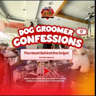 More Than Groomers — We’re Family at Mighty Waggers®