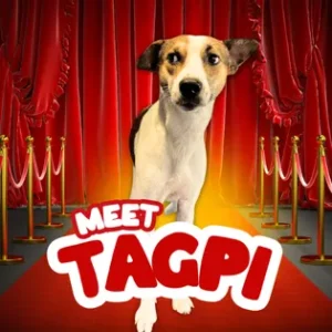 Mighty Waggers Scholar – Tagpi