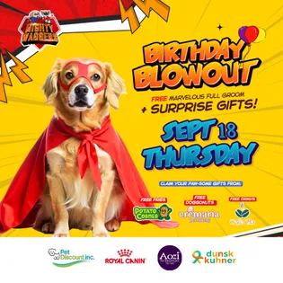 3rd Birthday Blowout 2025 at Mighty Waggers!