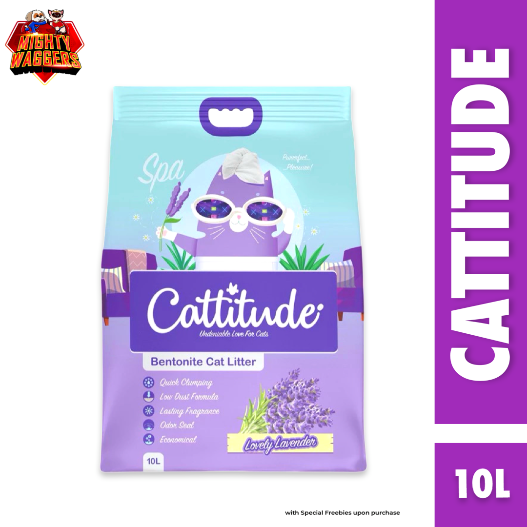 Best Clean Bentonite Cat Litter in fresh Apple Scent (5L)