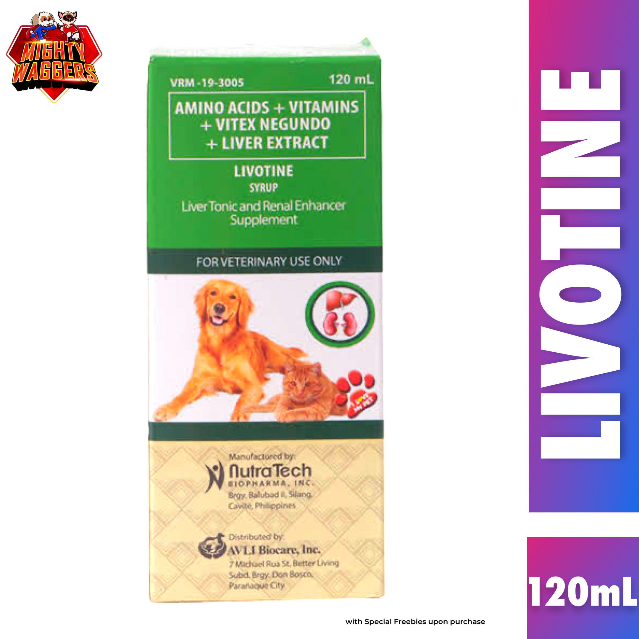 Livotine Syrup - Liver Tonic and Renal Enhancer Supplement (120ml)