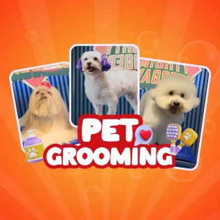 Three well-groomed dogs (Shih Tzu, colored-hair Poodle, and Bichon Frise) against a bright orange background, advertising PET GROOMING services.