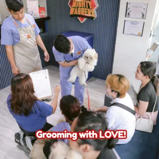 Staff members gathered in a pet grooming clinic, focused on a small white dog being held up by a groomer, with the text "Grooming with LOVE!"