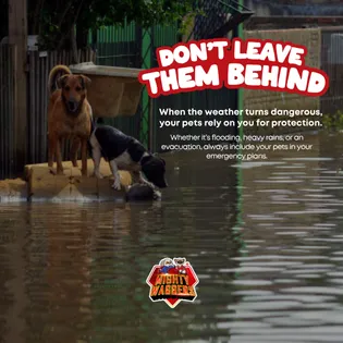 DON’T LEAVE THEM BEHIND: Your Guide to Pet Emergency Preparedness